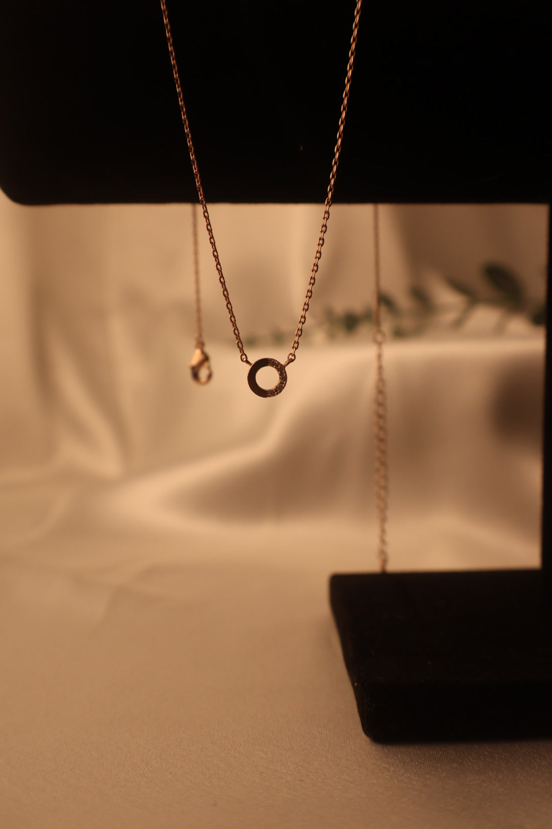 Rose Gold Circle Necklace